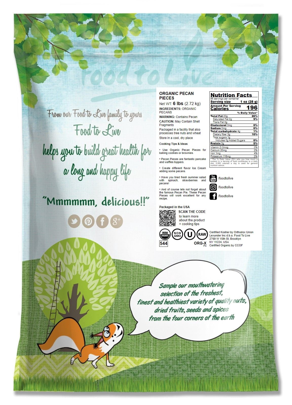 Organic Pecan Pieces, 6 Pounds — Non-GMO, Kosher, Raw, Vegan — by Food to Live