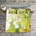thumbnail image 3 of Ambesonne Wine Quilted Bedspread Set 3 Pcs, Young Vine Green Spring, Queen Size, Pale Green Yellow Brown, 3 of 3