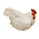 thumbnail image 4 of Adorno de gallina, modelo de artificial, accesorio didáctico, figura de simulación de pollo para el hogar, tienda, fiesta de Pascua en el patio., 4 of 8