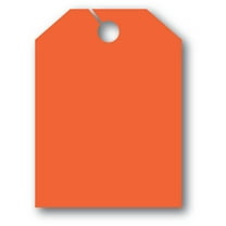 SSWBasics Mirror Hang Tags - Fl Red - Blank without Border - 8 1/2ʺW x 11 1/2ʺL - Pack of 50