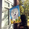 thumbnail image 2 of Carolines Treasures SC9059CHF Bichon Frise Flag Canvas House Size, 2 of 4