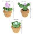 thumbnail image 3 of Cactus Plants Crochet Kit Starter Knitted Gift For Beginners Adults, 3 of 8