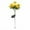 Yellow, variant on Twfbrm Solar Flower Lights for Outdoor, 28" Realistic Peony Flowers LED Garden Lights, Waterproof Solar Powered Decorative Stake Lights Auto ON/Off Landscape Lights for Lawn Yard Patio Pathway