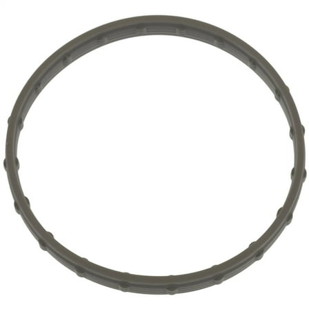 Electronic Throttle Body (ETB) Gasket