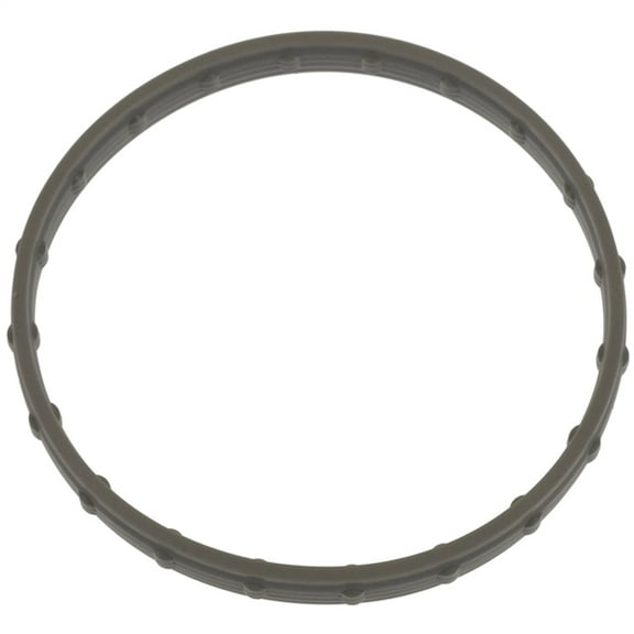 Electronic Throttle Body (ETB) Gasket