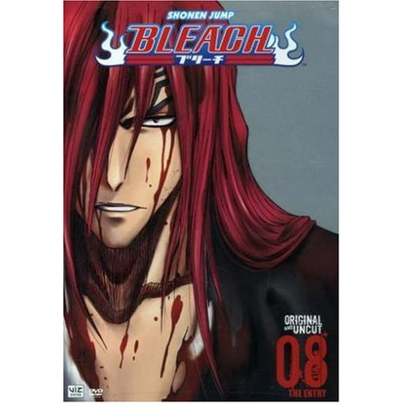 Bleach: Volume 8 - The Entry (Episodes 29-32) DVD NEW