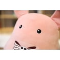 thumbnail image 2 of Almohada de peluche para muñecas Hanako-kun Mokke Yashiro Nene, 2 of 4