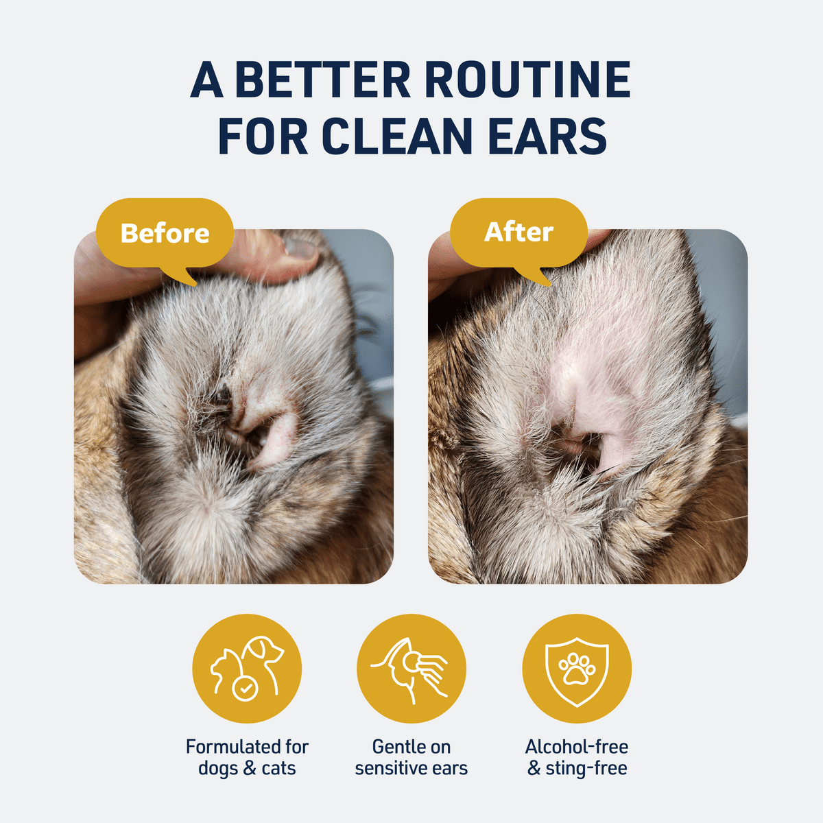 Veterinary Formula Clinical Care Ear Therapy Dog & Cat Ear Cleaner, 8 fl oz Bottle