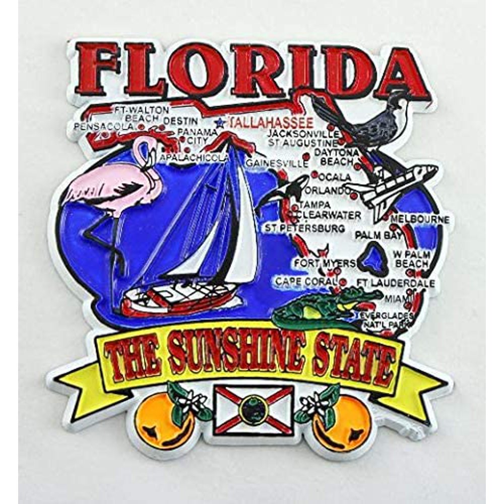 Florida State Elements Map Fridge Collectible Souvenir Walmart