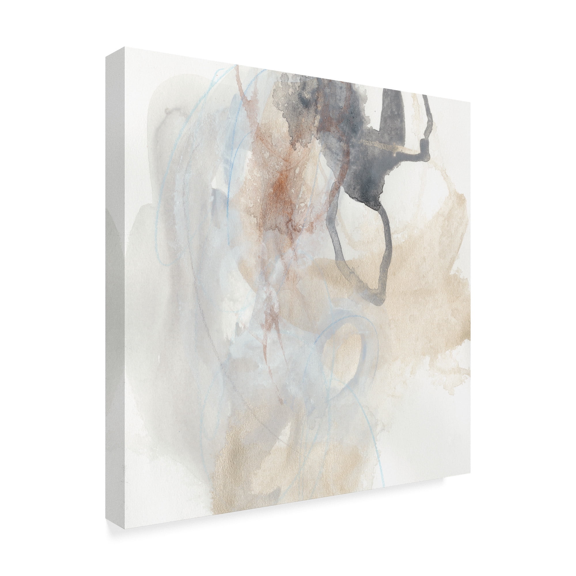 Trademark Fine Art 'Supposition III' Canvas Art by June Erica Vess
