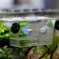 thumbnail image 4 of Caja Incubadora Acuario Acrílica Caja Incubadora Peces Lucha Caja Aislamiento Incubadora Caja Cría Peces Juveniles Multiusos Alta, 4 of 9