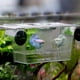 thumbnail image 4 of Caja Aislamiento Peces Transparente Rium Criador Criadero Incubador Aqua, 4 of 9