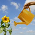 thumbnail image 2 of Galvanized Shower Bucket Tinplate Watering Kettle Small Flower Pot Flower Pot,yellow, 2 of 5