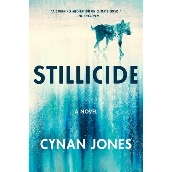 Stillicide : A Novel (Paperback)
