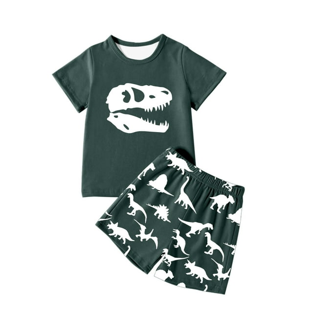 Vêtements d'Été pour Garçon, Ensemble T-Shirt à Col Rond Dinosaure à Manches Courtes et Short, Ensemble Tenue Garçon 4T