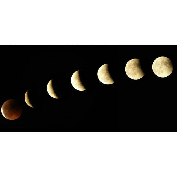 Peel N Stick Poster Of Moon Phases Eclipse Full Moon Poster 24x16