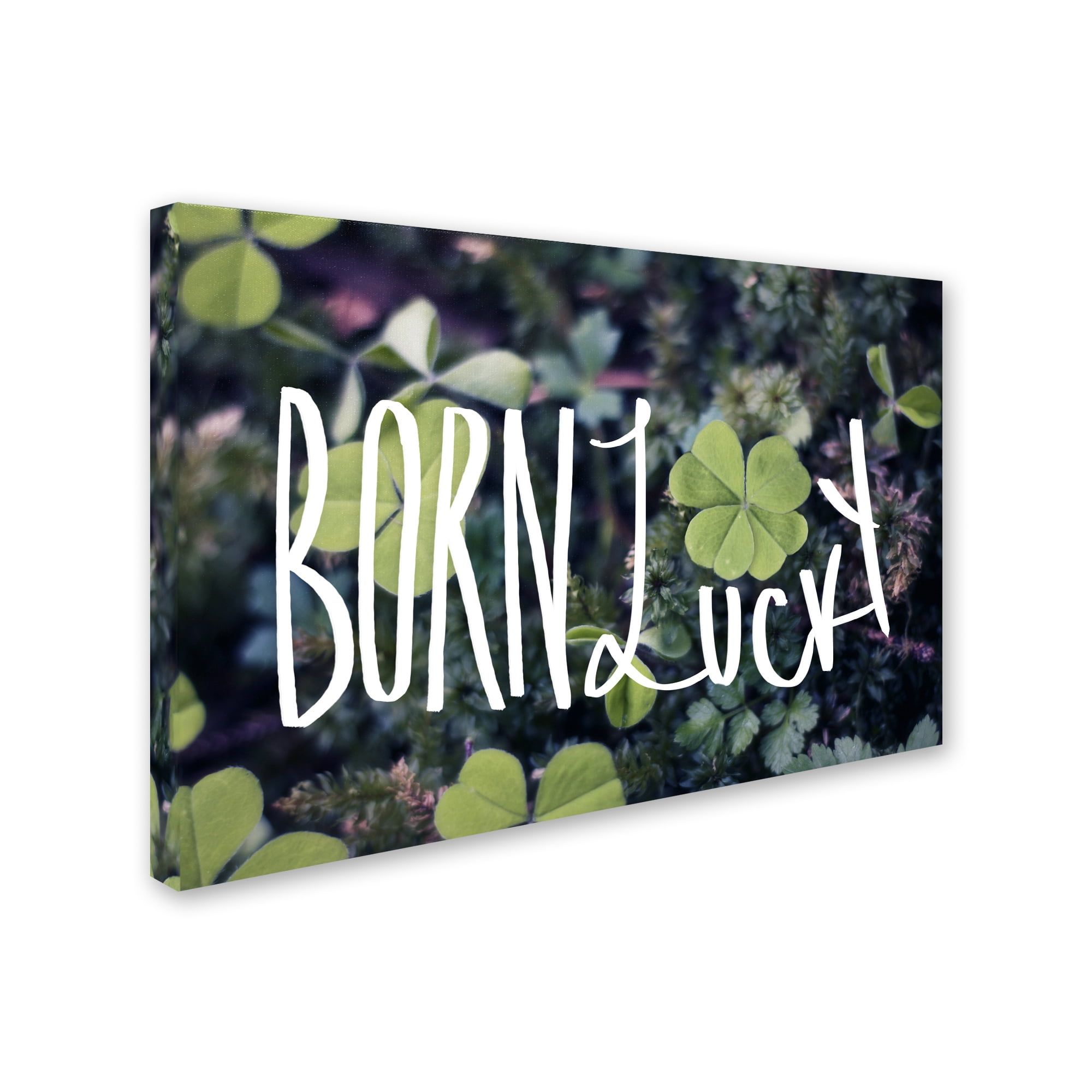 Trademark Fine Art "Born Lucky" Canvas Art by Leah Flores