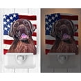 thumbnail image 2 of Carolines Treasures SC9029CNL USA American Flag with Labrador Ceramic Night Light, 2 of 2