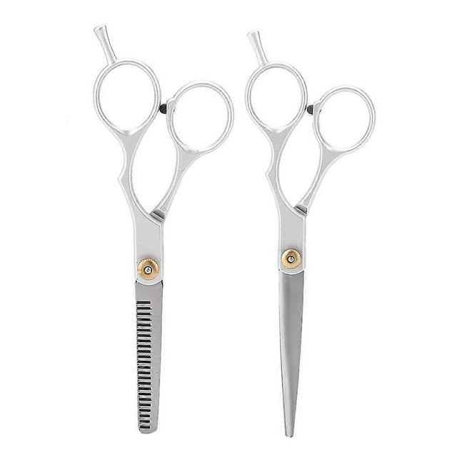 Ensemble de ciseaux professionnels pour coupe de cheveux et effilage, pour salon de coiffure