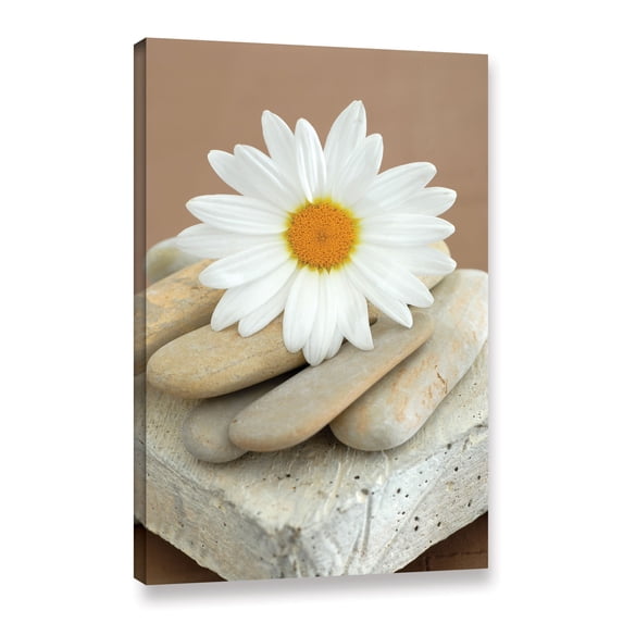 ArtWall Elena Ray " Body And Soul " Gallery-Wrapped Floater-Framed Canvas