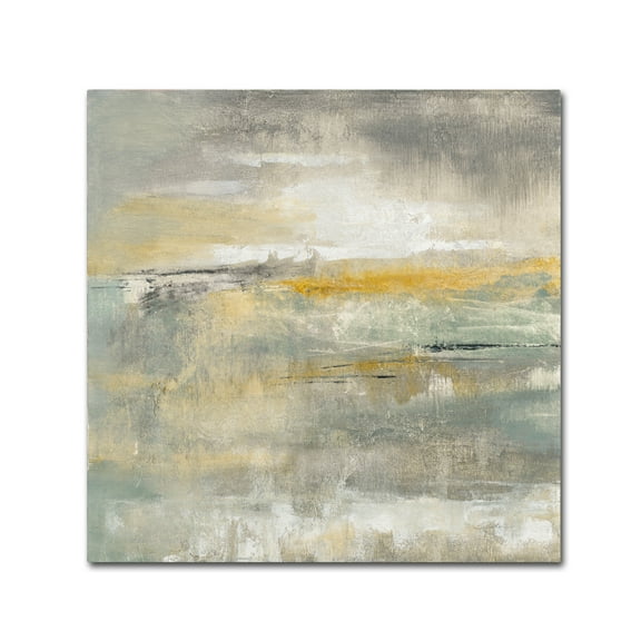 Trademark Fine Art 'February Sky' Canvas Art by Silvia Vassileva