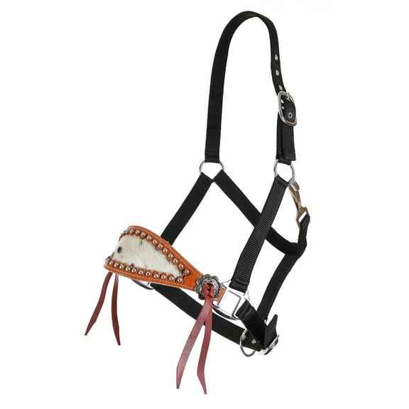 Showman Black Nylon Bronc Halter w/ Cowhide Inlay