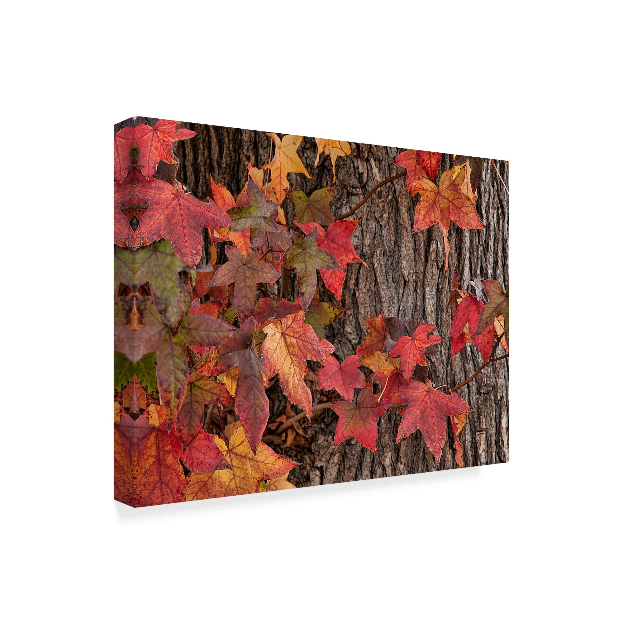 Trademark Fine Art 'Red Leaves On A Tree' Canvas Art by Lori Hutchison