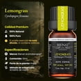 thumbnail image 5 of Aceite Esencial BIENAT Lemongrass 100% Puro y Concentrado para Difusor y Masajes, 5 of 5