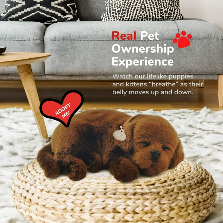 Perfect Petzzz Original Petzzz Chocolate Lab Realistic Life Like Stuffed Interactive Plush Toy Electronic Pets Companion Pet Dog with 100