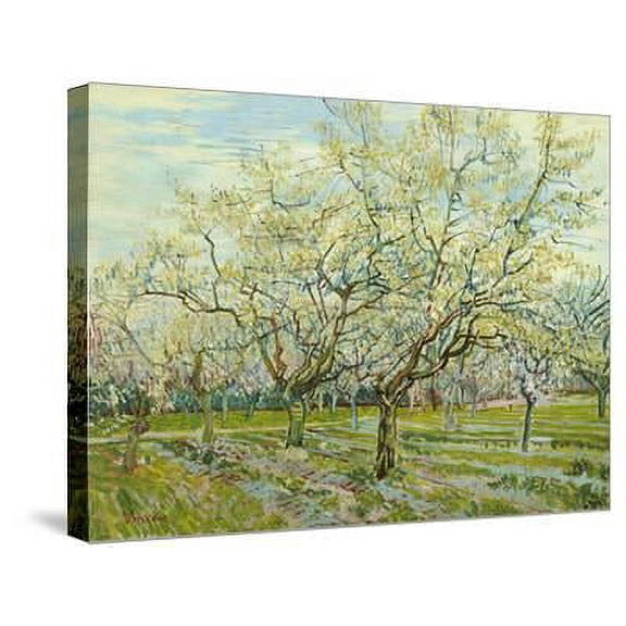 The White Orchard, 1888, Botanical Scenic Seasons Stretched Canvas Wall Art by Vincent van Gogh Sold by Art.Com