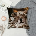 thumbnail image 3 of Cat Print Throw Pillow Cover 18x18 Inch, Cute Multicolor Cat Pattern Soft Polyester with Hidden Zipper, Decorative Cushion Case for Sofa Bed Living Room Home Decor, 3 of 5