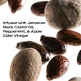 thumbnail image 6 of SheaMoisture Jamaican Black Castor Oil Strengthen & Restore Shampoo and Conditioner Set, 13 oz 2 Count, 6 of 14