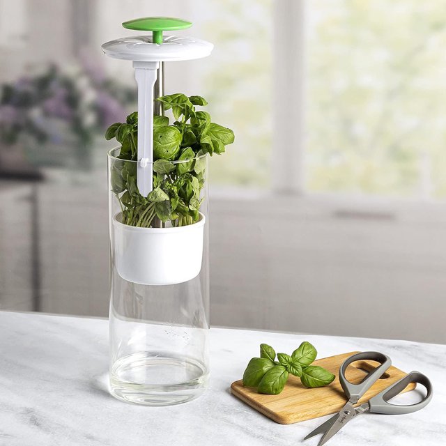 Guardián de hierbas frescas POLA CLARE HERBER SAVER PARA CONTROPTOP DEL REFRIGER (Verde)