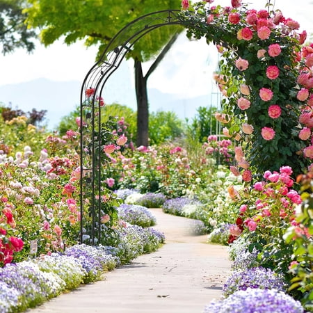 Heavy Duty Galvanized Steel Garden Arch with Metal Flowers for Climbing Plants and Wedding Decor