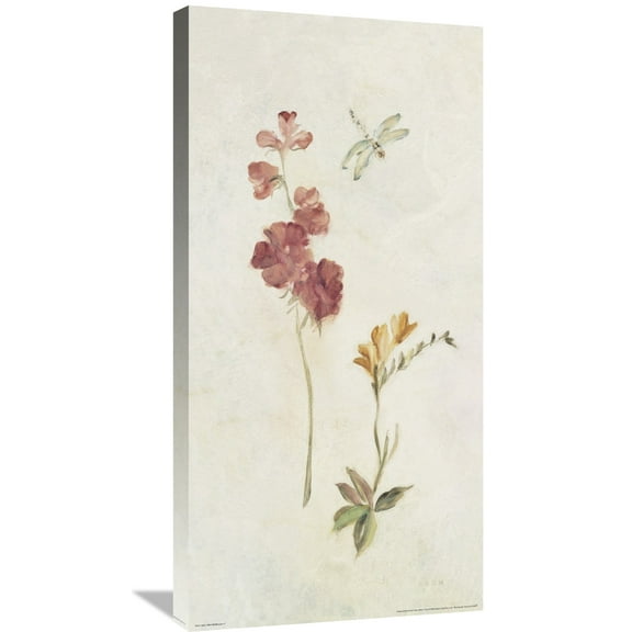 Global Gallery's Cheri Blum 'Wild Wallflowers II' Stretched Canvas Wall Art