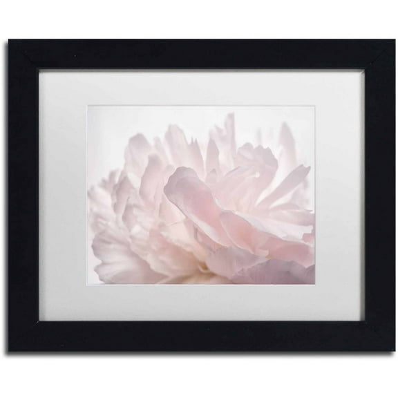 Trademark Fine Art 'Pink Peony Petals V' Canvas Art by Cora Niele, White Matte, Black Frame