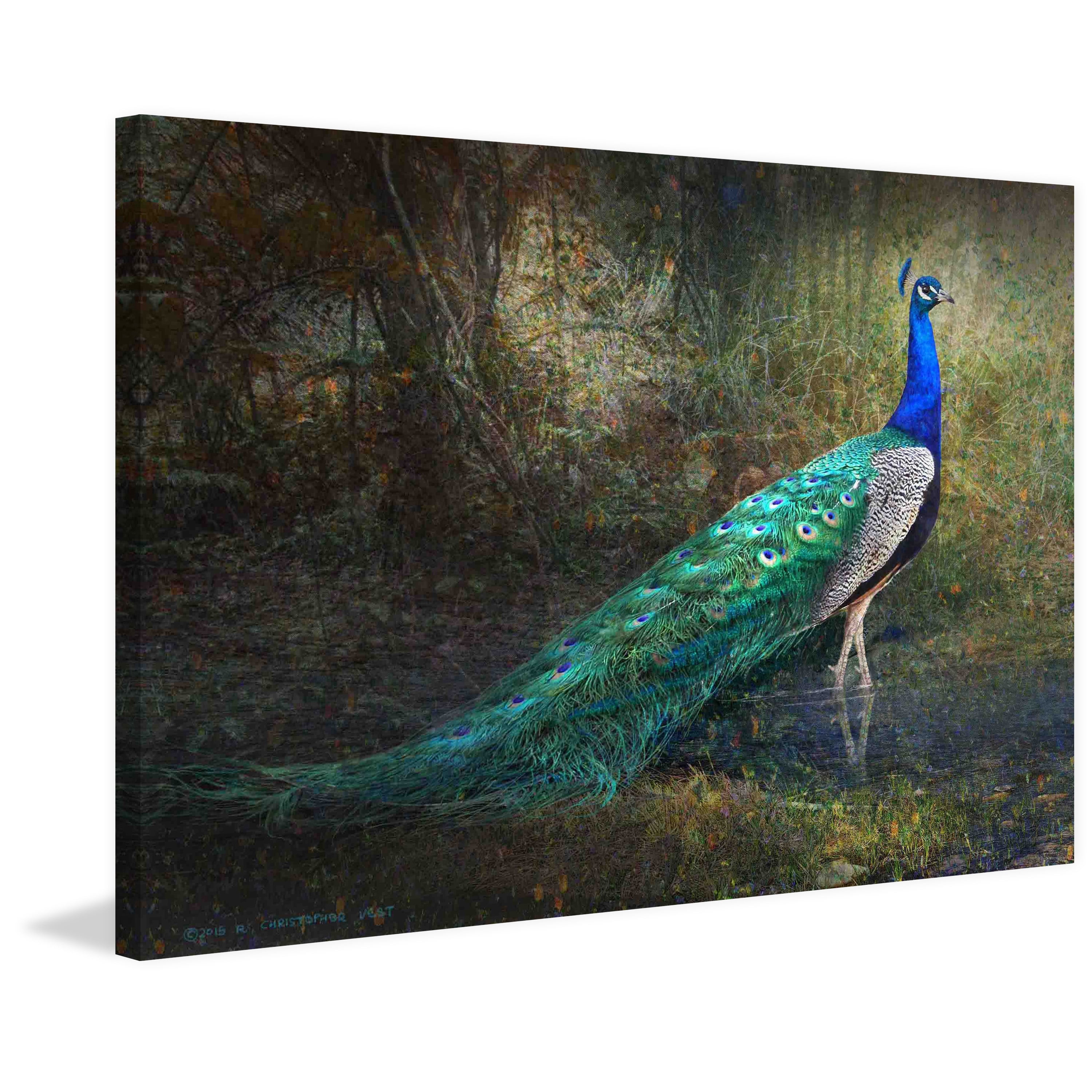 Marmont Hill - "Jungle Stream Peacock" by Chris Vest Painting Print on Wrapped Canvas