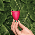 thumbnail image 6 of Oi Cup, Zero-Waste Reusable Menstrual Cup, Hypoallergenic and Recyclable, Small, 6 of 8