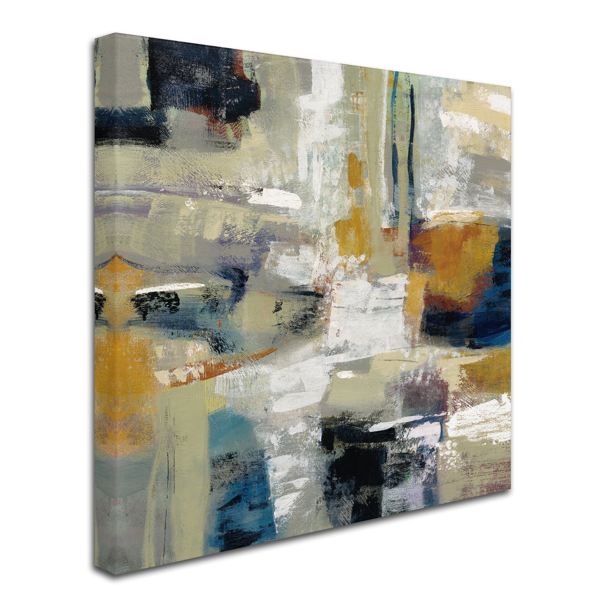 Trademark Fine Art 'Full Moon I with White' Canvas Art by Silvia Vassileva