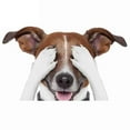 thumbnail image 2 of Lifelike Car Stickers Jack Russell Terrier Sticker Surfboard Fine Decal Graffiti Sticker Vinyl Material Waterproof Decoration, 2 of 3