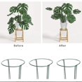 thumbnail image 1 of 6 uds jaula de estaca de soporte para plantas marco de soporte de peonía de jardín anillos de soporte de plantas medio redondos verdes grandes XianweiShao 8390615790338, 1 of 1