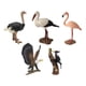 thumbnail image 2 of 5 piezas de simulación de pájaros en miniatura, colección realista hecha a mano para recuerdos de fiesta, juguete para niños, accesorio de enseñanza Estilo C, 2 of 8