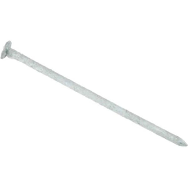 6HGC1 6D 2 in. Hot Galvanized Common Nail 1 lbs.