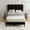 Black, variant on 4 EVER WINNER Twin Size Bed Frame, Upholstered Platform Bed Frame with Headboard, Black Twin Bed Frame, No Box Spring Needed, Black