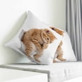 thumbnail image 4 of Throw Pillow Covers 26x26 Inch, Funny Cats Decorative Pillow Cases for Couch Sofa Bed, Cute Art Fun Lovely Animals on Toilets Cotton Linen Square Home Decor Pillowcases with Hidden Zipper, 4 of 7