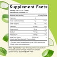 thumbnail image 7 of Aloe Life Aloe Life  Aloe Vera Juice Concentrate, 16 oz, 7 of 7