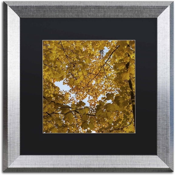 Trademark Fine Art "Golden Canopy of Autumn" Canvas Art by Kurt Shaffer, Black Matte, Silver Frame