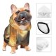 thumbnail image 3 of Balery Golden Winged White Horse Sudadera con Capucha para Perros Pequeños – Ropa para Mascotas, Disfraz para Perros y Gatos, Ideal para Fiestas y Cosplay-Medium, 3 of 7