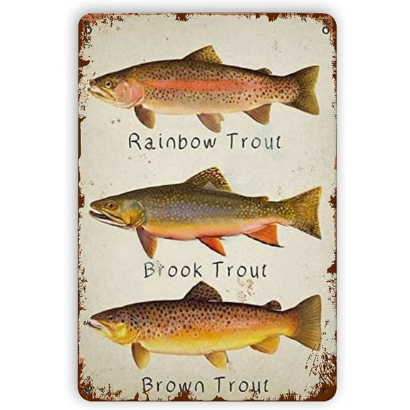 Fish Rainbow Trout Brook Trout Brown Trout Metal Tin Signs Reproduction, Vintage Wall Decor Retro Art Tin Sign Funny Decorations for Home Bar 8X12inch