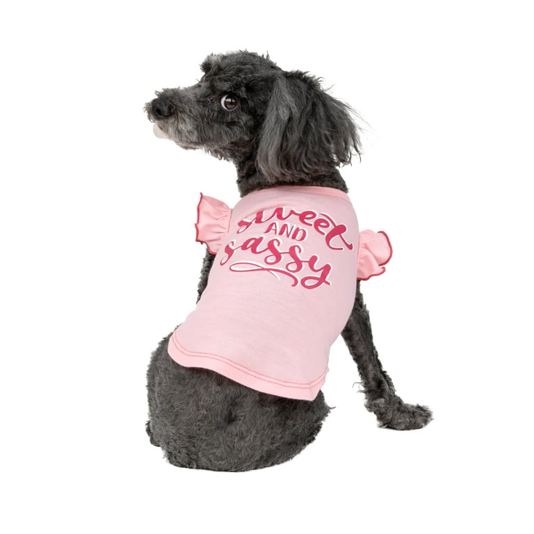 Vibrant Life, Dog and Cat Clothes, Sweet and Sassy Pet T-Shirt